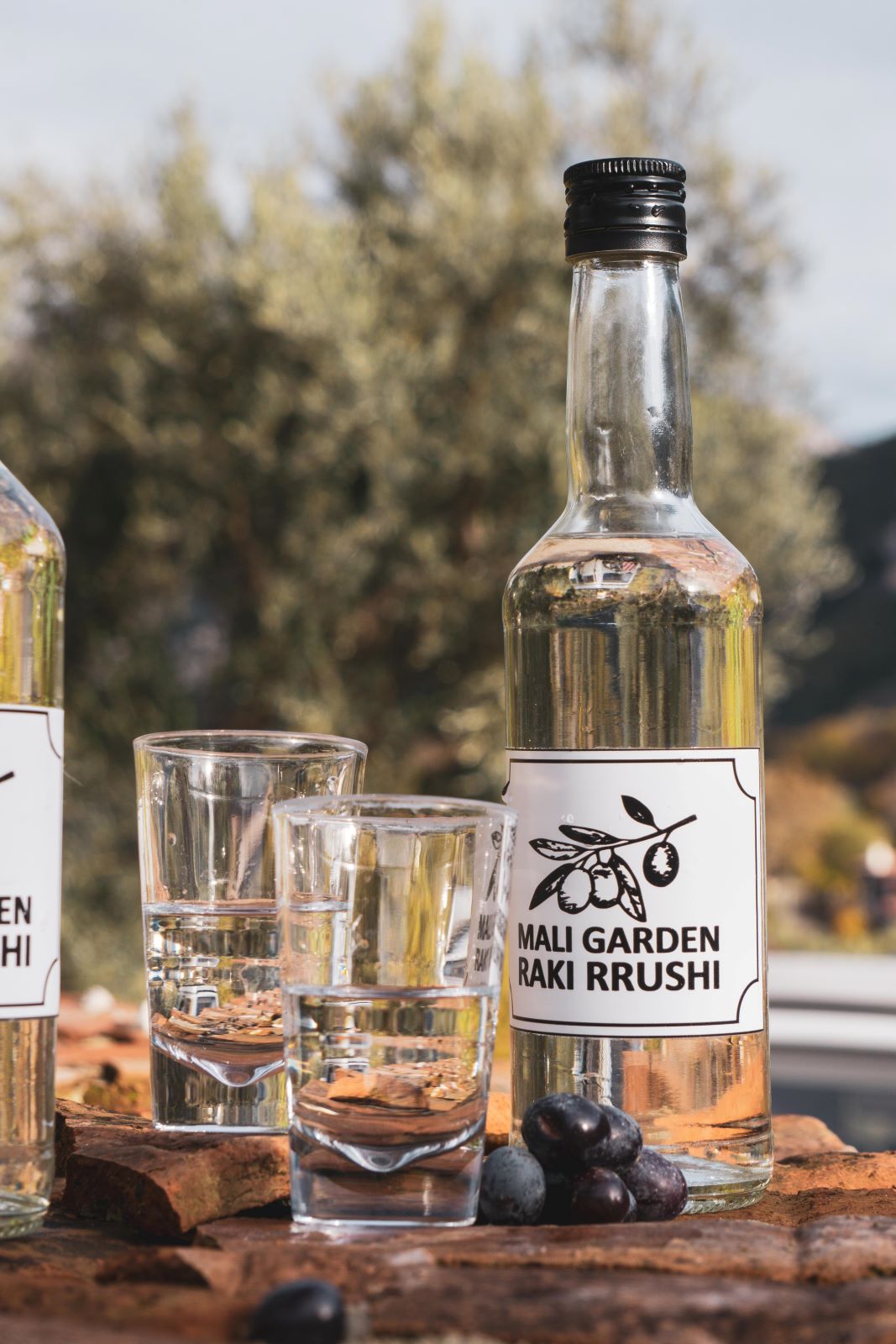 raki und schnapsgläser