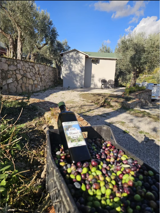 olivenöl auf oliven